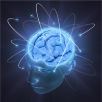 Neuroscience Test