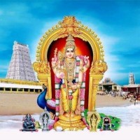 Nandhakumar M Kumar
