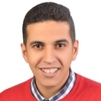 Amr Tarek