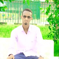 Adow Aden Salad