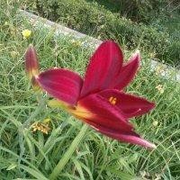 史国芳