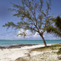 Mérika THOMAS-GANGAYE