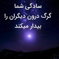 Hamed Niazi
