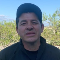 Luis Quezada