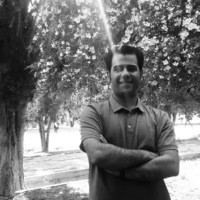 Mohammad Hossein Arabi