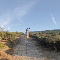 Nhi Vo Yen