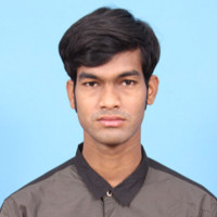 SUBHANKAR DE SARKAR