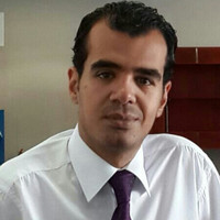 Ayman Ezz Elarab