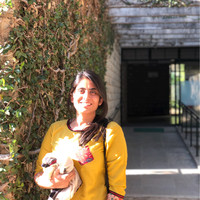 Monica Raju