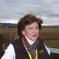 Ann Walsh