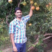 Ashok Shinde