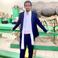 Abdirahman Warfa