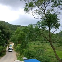 胡明杰