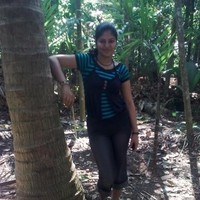 Rashmi Sethi