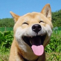 董正浩