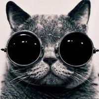 Нариман Кишкеналин