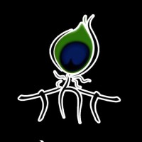 Thapar Nautanki Team