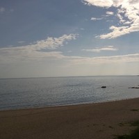 孙逸阳