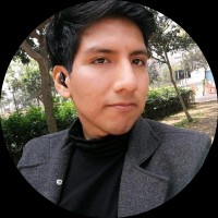 Diego Bustamante Palomino