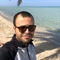 Hamed Elsherbiny