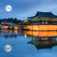 Andy Lee-李清池-技術服務處
