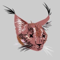 Tuleulenov Dinmukhamed