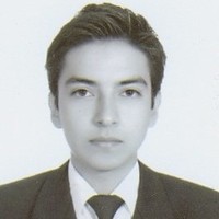 Carlos Adrian Flores Loyola