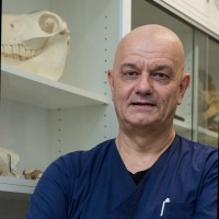 Johan Nackaerts