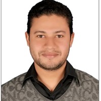 Hossam Mostafa Mohamed