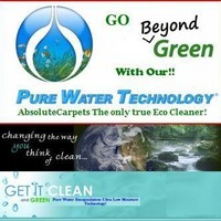 Absolute carpet care absolutecarpets