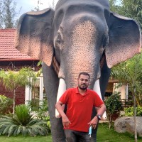 BALAMURUGAN PANDI