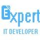 Expert It Developer