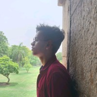 Rahul Meena