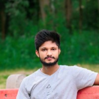 Rahul Chauhan