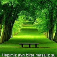 Fuat Bulut