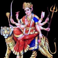 JAY BHAVANI GROUP Ashish