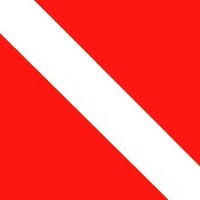 Newline Interiors L.L.C.