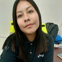 Iris Villalobos Martinez