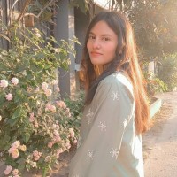 Habir Haseeb
