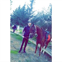 Sofiane Kabyle
