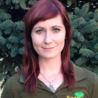 Stacie Phelps