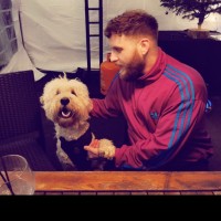 Liam Cook