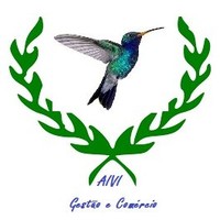 Aivi Gestão E Comércio