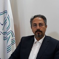 Mehrdad Rajabzadeh