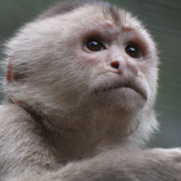 Merazonia Wildlife Reserve