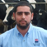 Felipe Arias