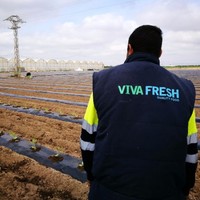 Luis Angel Martinez Angulo