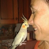 Enrica Gota