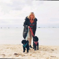Maralyn Sfiry