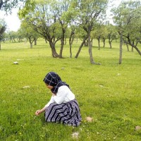 Asya Dağlı